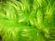 Load image into Gallery viewer, Scorpion in the Grass